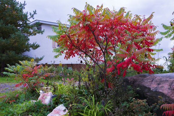 DSC03144
